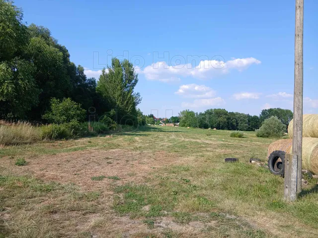 Eladó telek Vaszar 35000 nm