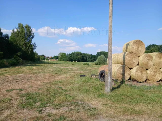 Eladó telek Vaszar 35000 nm