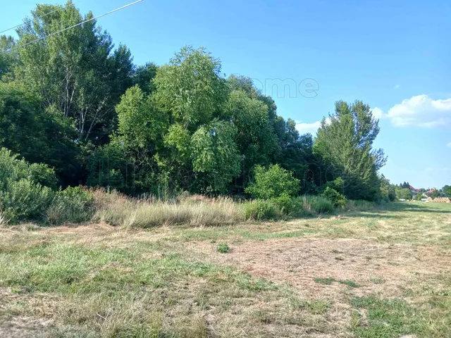 Eladó telek Vaszar 35000 nm