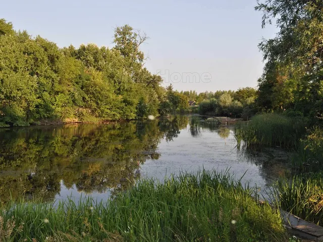 Eladó mezőgazdasági ingatlan Püski 56650 nm