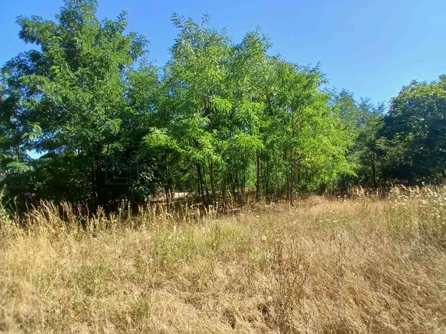 Eladó telek Bakonytamási 1377 nm