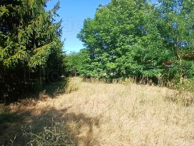 Eladó telek Bakonytamási 1377 nm