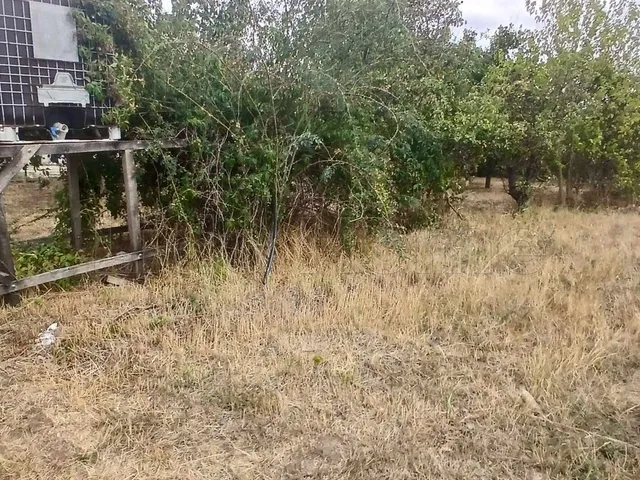 Eladó mezőgazdasági ingatlan Töltéstava 774 nm