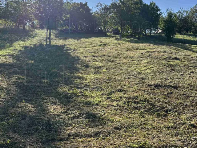 Eladó telek Csókakő 50 nm