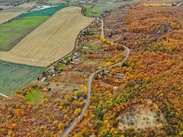 Eladó mezőgazdasági ingatlan Héreg 342 nm