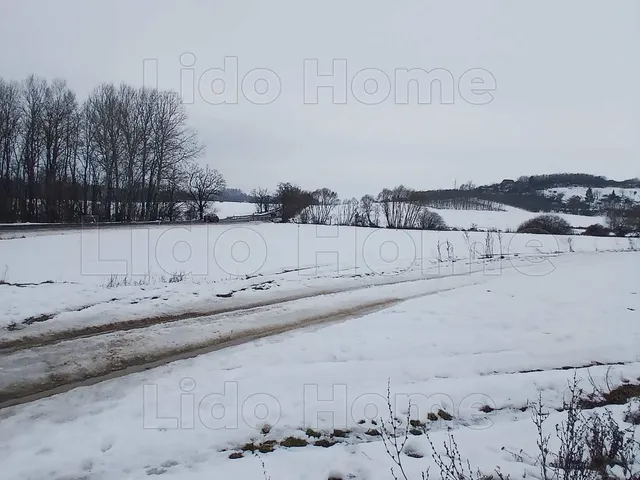 Eladó mezőgazdasági ingatlan Környe 30542 nm