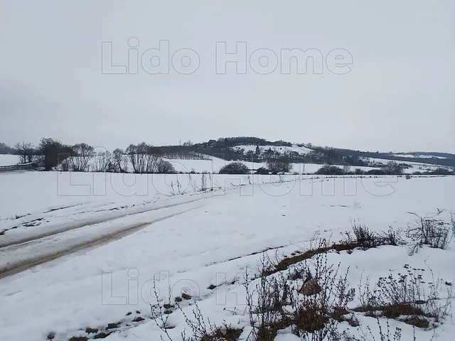 Eladó mezőgazdasági ingatlan Környe 30542 nm