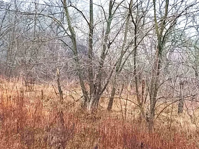 Eladó telek Óbarok 2052 nm