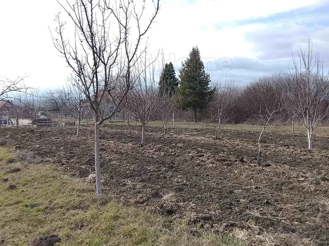 Eladó mezőgazdasági ingatlan Bicske 60 nm