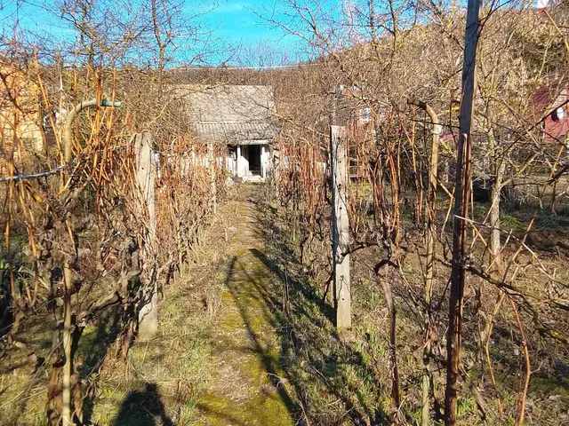 Eladó mezőgazdasági ingatlan Tatabánya 637 nm