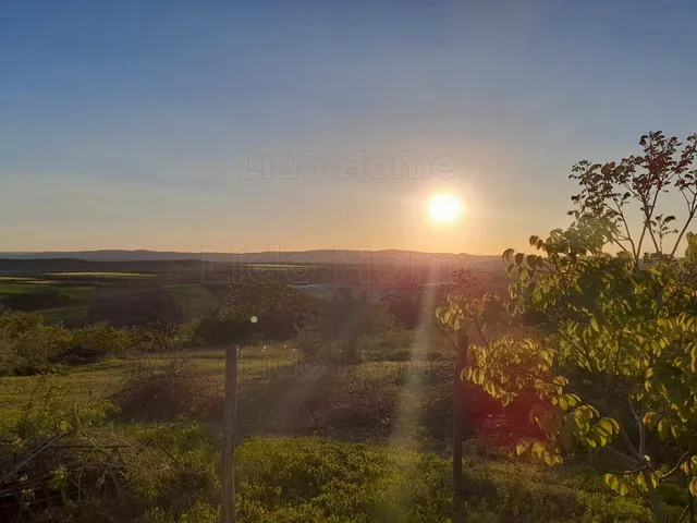 Eladó mezőgazdasági ingatlan Bicske 1490 nm