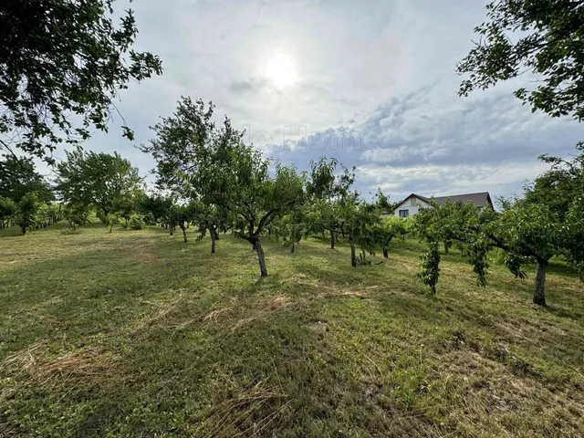 Eladó mezőgazdasági ingatlan Etyek 8335 nm