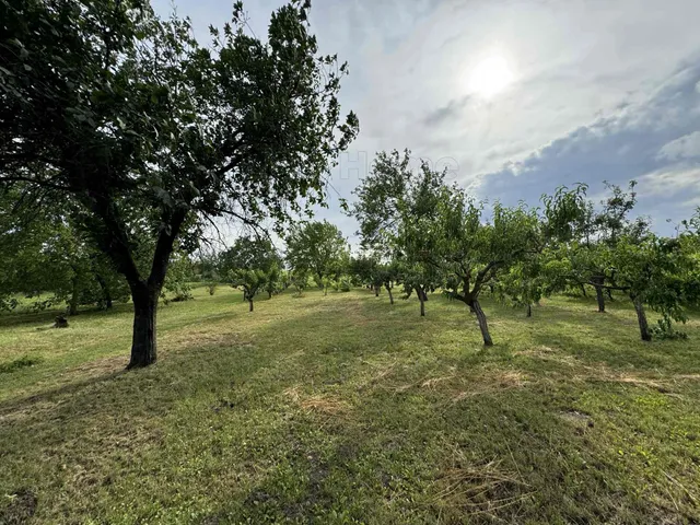 Eladó mezőgazdasági ingatlan Etyek 8335 nm