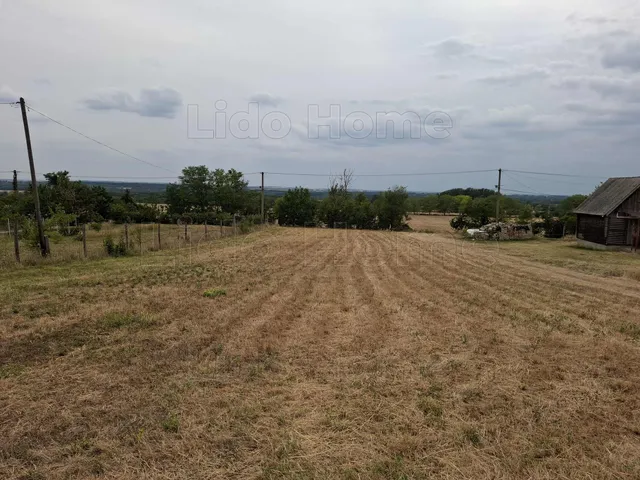 Eladó mezőgazdasági ingatlan Baj 3168 nm