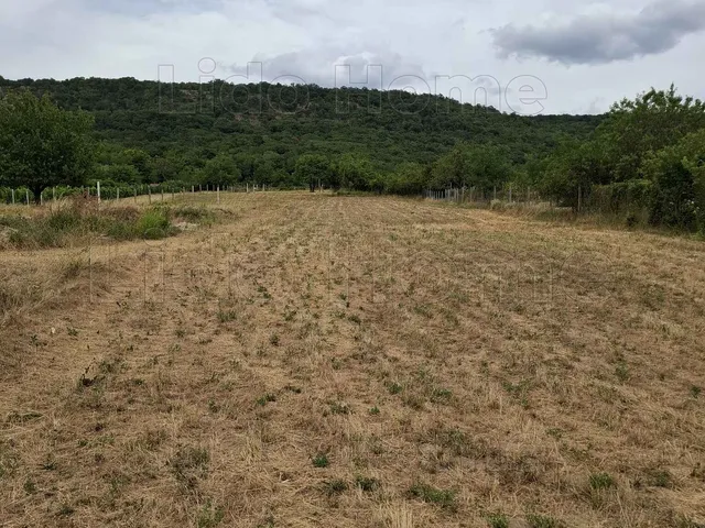 Eladó mezőgazdasági ingatlan Baj 3168 nm