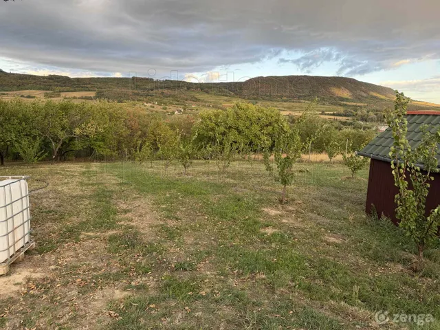 Eladó mezőgazdasági ingatlan Mór 2600 nm