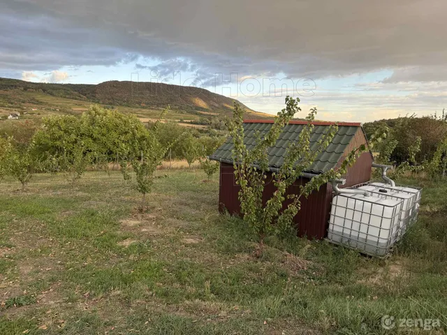 Eladó mezőgazdasági ingatlan Mór 2600 nm