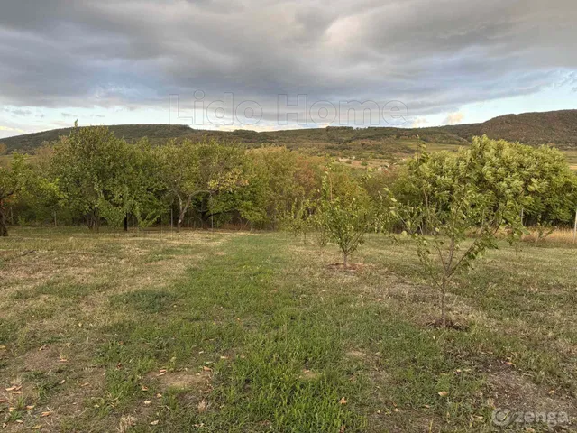 Eladó mezőgazdasági ingatlan Mór 2600 nm