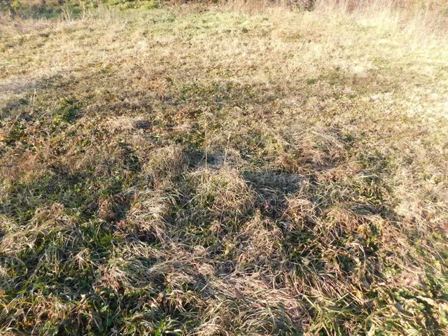 Eladó telek Gyenesdiás 8000 nm