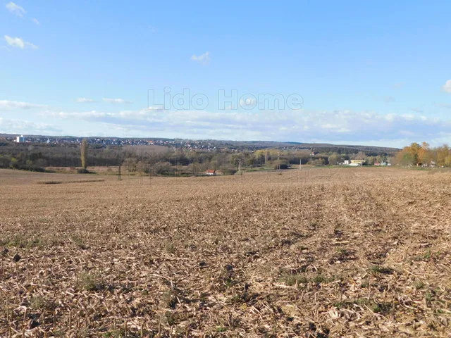 Eladó mezőgazdasági ingatlan Keszthely 1137 nm