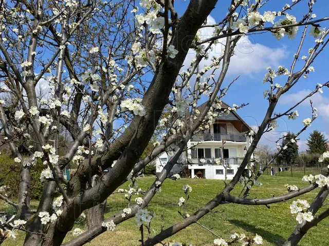 Eladó ház Cserszegtomaj 198 nm