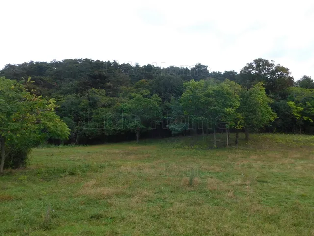 Eladó telek Vonyarcvashegy 2333 nm