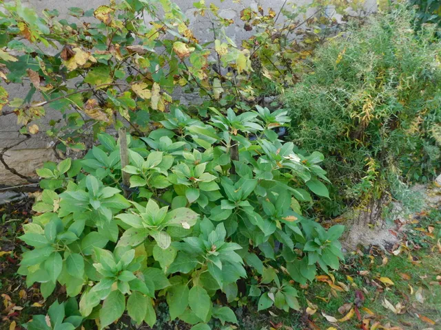 Eladó ház Kehidakustány 89 nm