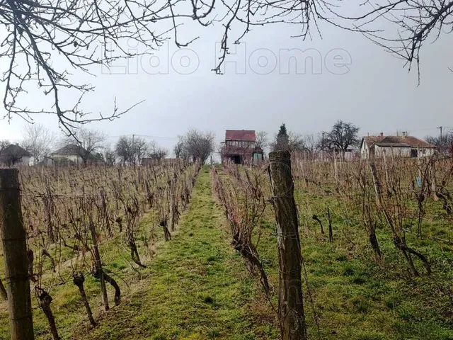 Eladó üdülő és hétvégi ház Zalaszentlászló 60 nm