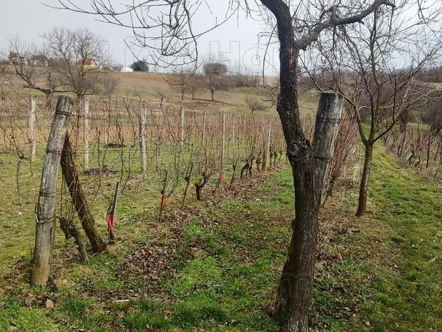 Eladó üdülő és hétvégi ház Zalaszentlászló 60 nm