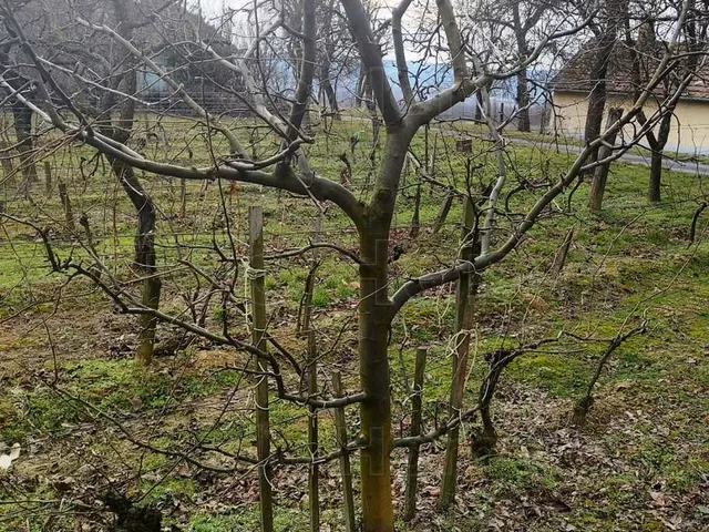 Eladó üdülő és hétvégi ház Zalaszentlászló 60 nm