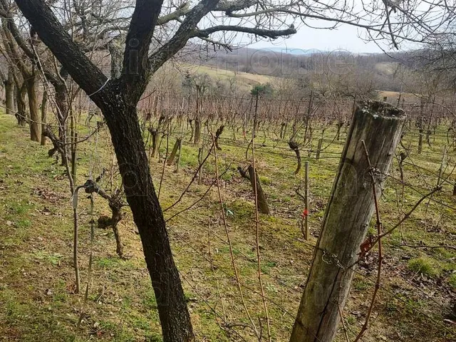 Eladó üdülő és hétvégi ház Zalaszentlászló 60 nm