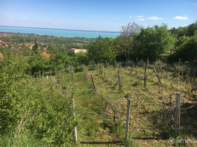 Eladó telek Paloznak 1538 nm