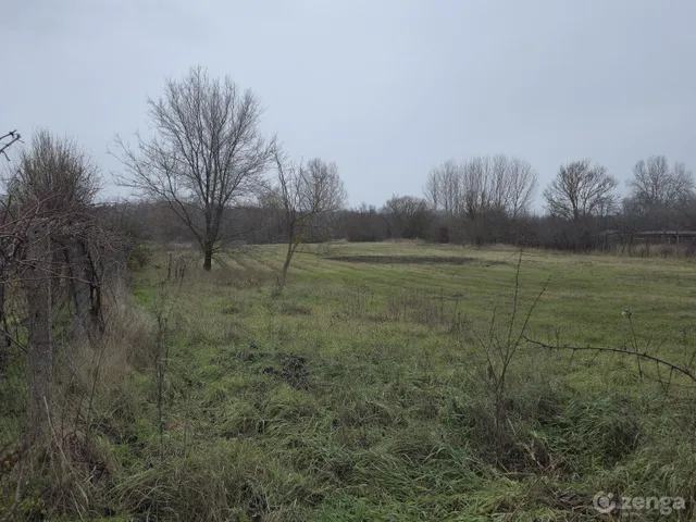 Eladó telek Kóka 2700 nm