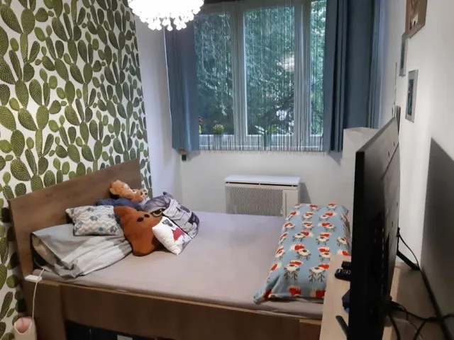 Kiadó lakás Békéscsaba, Kazinczy-lakótelep, Kazinczy lakótelep 50 nm