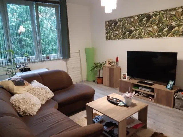 Kiadó lakás Békéscsaba, Kazinczy-lakótelep, Kazinczy lakótelep 50 nm