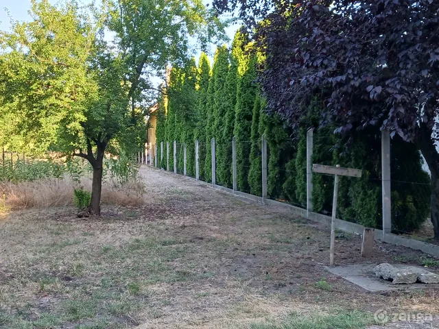 Eladó telek Cserkeszőlő 1503 nm