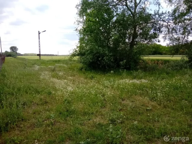 Eladó mezőgazdasági ingatlan Kiskunmajsa 33000 nm