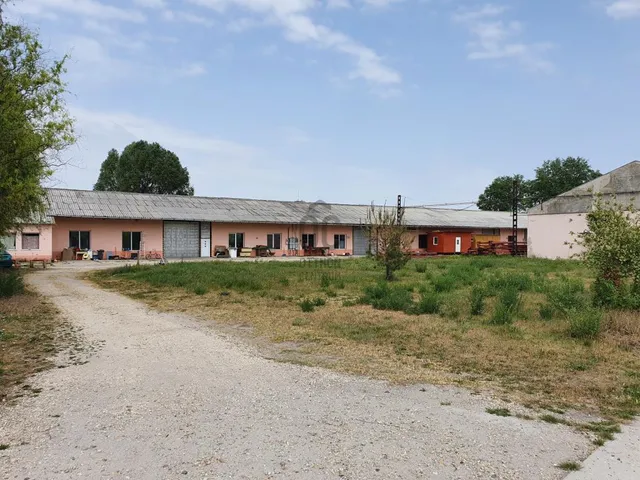 Kiadó kereskedelmi és ipari ingatlan Kocsér 1000 nm