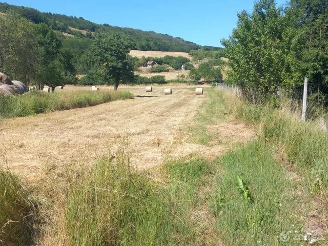 Eladó telek Dédestapolcsány 4007 nm