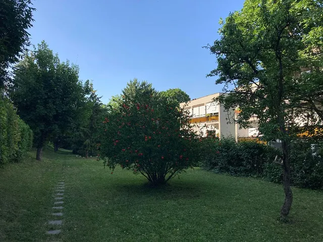 Eladó lakás Budapest III. kerület, Mátyáshegy 51 nm
