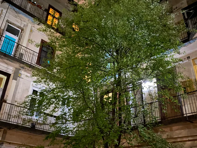 Eladó lakás Budapest XIII. kerület, Lőportárdűlő 49 nm