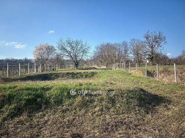 Eladó telek Tök 4171 nm