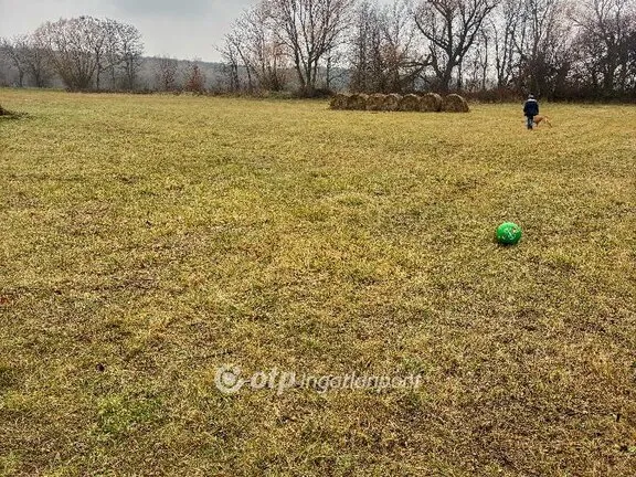 Eladó telek Budajenő 14847 nm