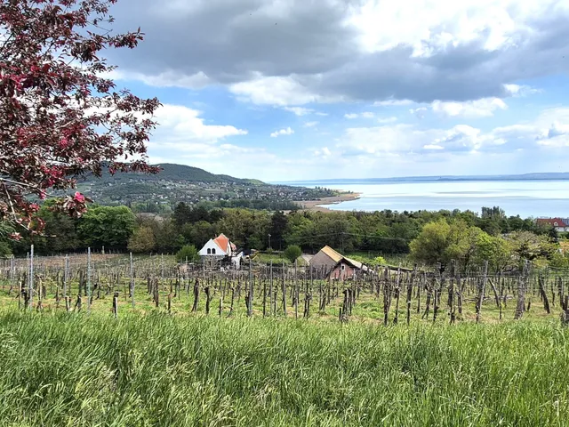 Eladó üdülő és hétvégi ház Badacsonytomaj 30 nm