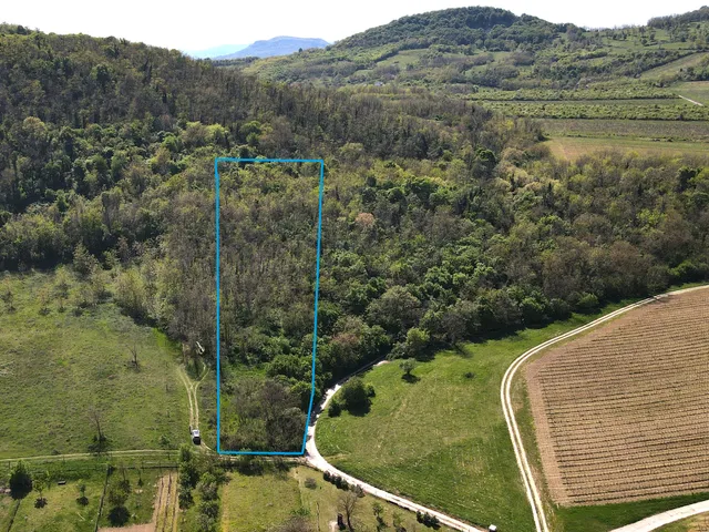 Eladó mezőgazdasági ingatlan Mindszentkálla 3292 nm