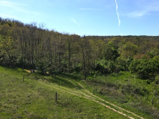 Eladó mezőgazdasági ingatlan Mindszentkálla 3292 nm