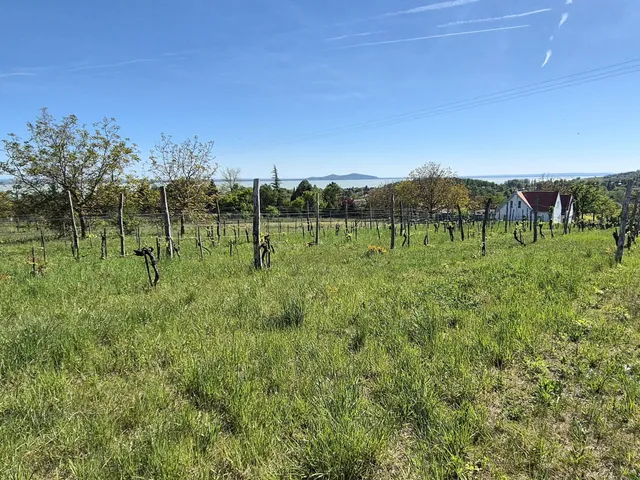 Eladó üdülő és hétvégi ház Ábrahámhegy, Szőlő utca 31 nm