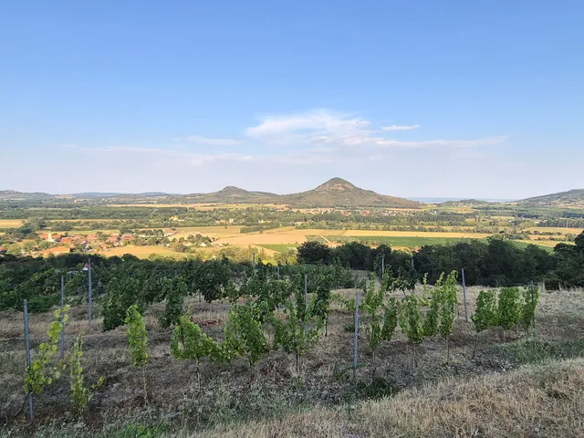 Eladó nyaraló Kisapáti, Külterület 50 nm