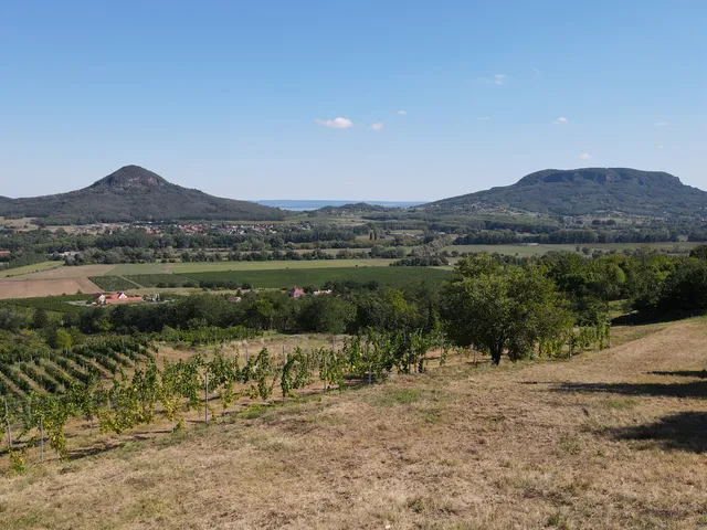 Eladó telek Kisapáti 4351 nm