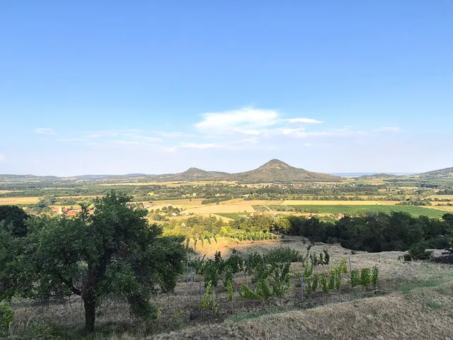 Eladó telek Kisapáti, Külterület 4351 nm
